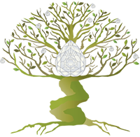 Diamond Tree Coaching